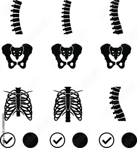 Set of nine black vector icons representing human skeletal anatomy including the spine, rib cage, and pelvic bone medical concepts.