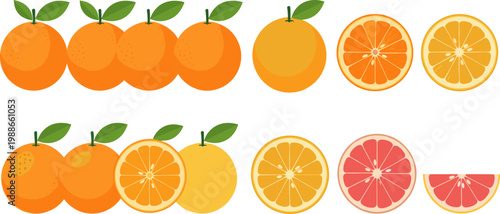Set of Orange and Grapefruit Vector Illustrations with Whole and Sliced Fruit for Food, Health, and Beverage Design Projects