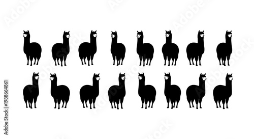 Llamas black silhouette set with white accents and various poses featuring llama, animal, mammal with south american camelid and collection elements