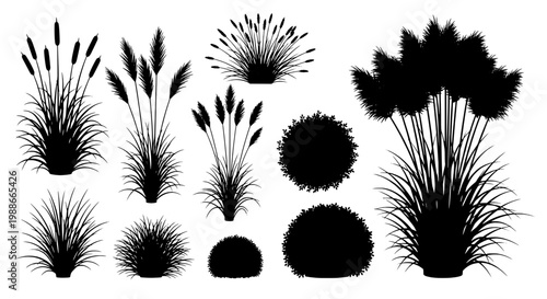 Plants silhouette set with various shapes and textures for design use featuring nature, botanical, grass with flowers and leaves elements for round,