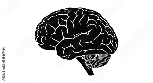 A striking black silhouette depicts a human brain showcasing its complex folded structure high quality professional