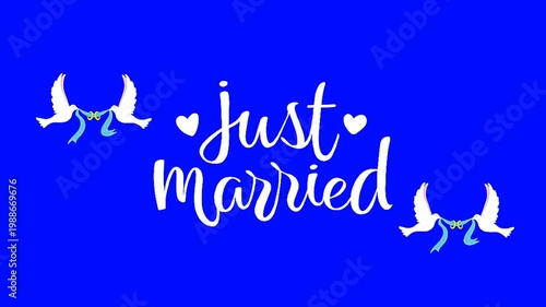 Beautiful Just Married Text with Flying Birds on Blue Background.