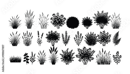Assorted garden plants and shrubs in black silhouette vector format on transparent background.