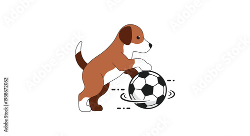 A playful brown dog kicking soccer ball.