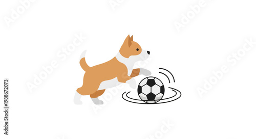 A dog playing with a soccer ball.