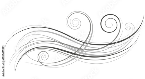 Elegant swirl flourish decorative element with gray lines and curves