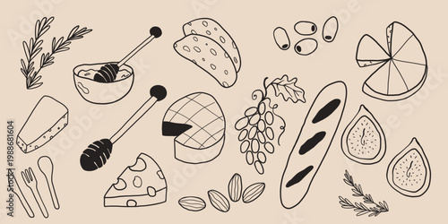 Hand drawn line art vector cheese board elements set with brie, baguette, figs, grapes and honey. Rustic appetizer doodle collection for wine bar menu.