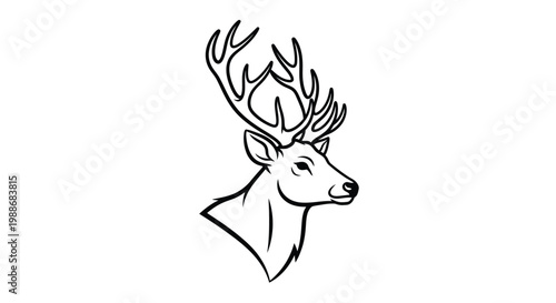 Detailed line art illustration of a majestic stag s head and antlers