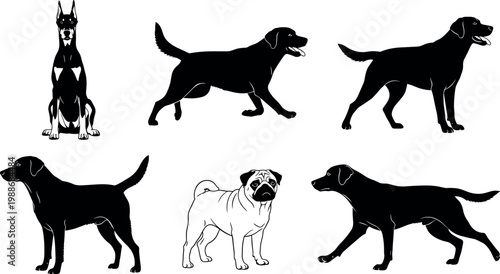 Black and White Dog Silhouette Vector Set with Different Breeds and Poses Including Sitting Walking and Running Illustrations