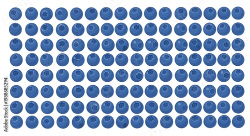 Array of vibrant blue blueberries arranged in neat rows against a white background