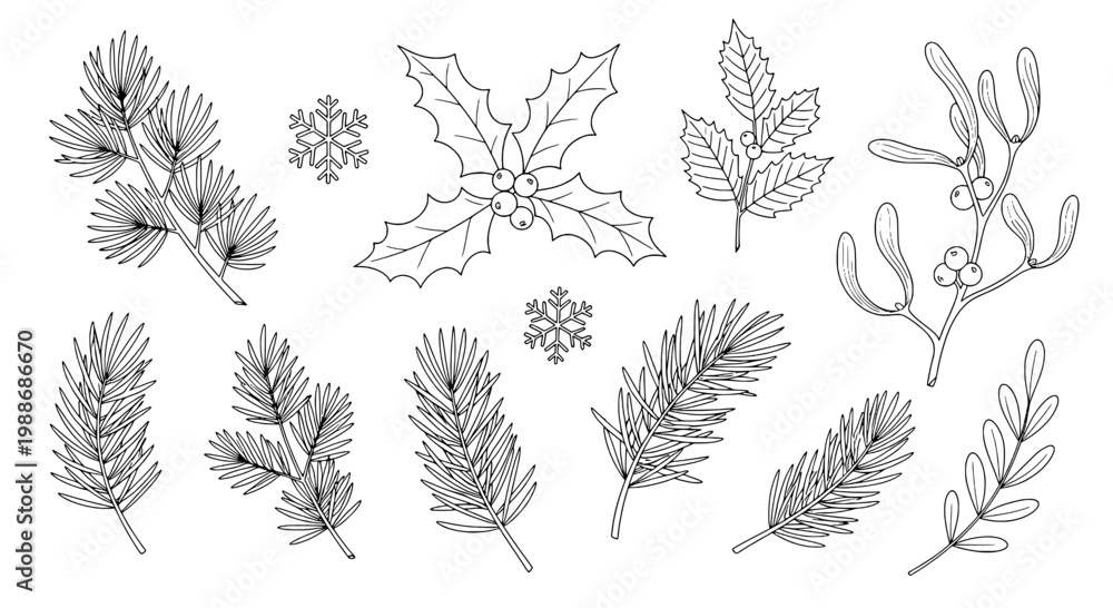 Fototapeta premium Branches winter set with pine leaves and holly, snowflakes, and mistletoe in black and white line art, Christmas elements.