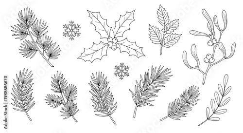 Branches winter set with pine leaves and holly, snowflakes, and mistletoe in black and white line art, Christmas elements.