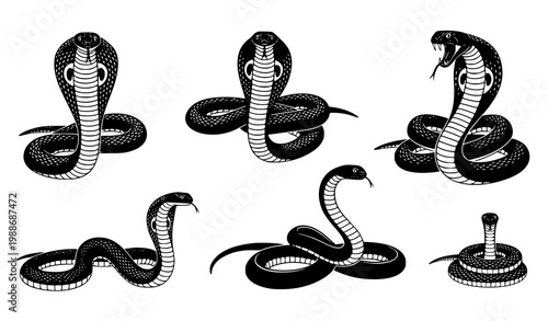 Snake cobra vector silhouettes black wildlife poses set illustration