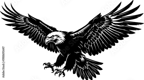 American Bald Eagle in Flight.