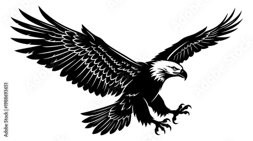 American Bald Eagle in Flight.