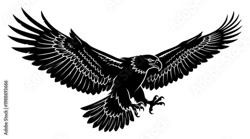 Black eagle in flight descending.