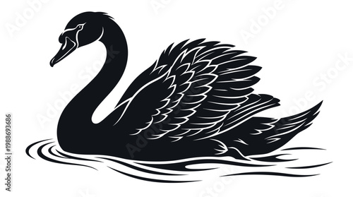 Black Swan Bird Swimming Water.