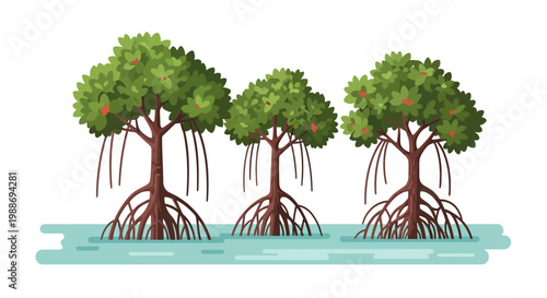 Illustration of mangrove trees with roots in water