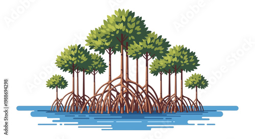 Illustration of Mangrove Trees with Roots in Water