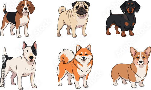 Various dog breeds collection vector set cute domestic pets isolated illustration canine characters cartoon style bundle