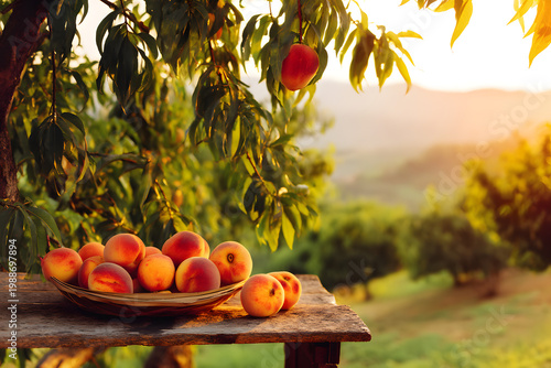 Ripe peaches on a wooden table with an orchard in the background during sunset hours