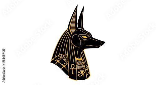 Ancient Egyptian God Anubis Head Illustration with Golden Details.