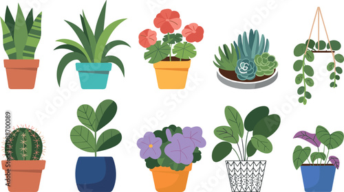 Assortment of potted houseplants in various colorful pots Keywords: houseplants, potted plants, indoor plants, succulents, cactus, snake plant, aloe