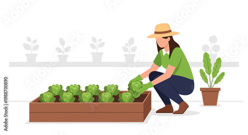 Woman farmer harvesting fresh lettuce from a raised garden bed, healthy organic food concept