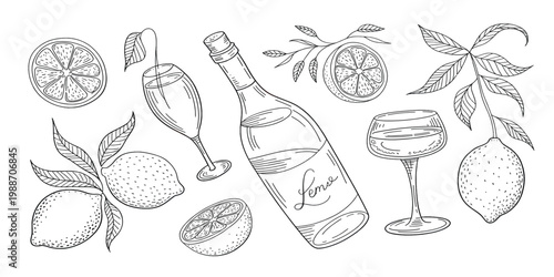 Vintage vector illustration set of hand drawn flowers and fruits featuring wine bottles with glasses and grapes for restaurant bar design