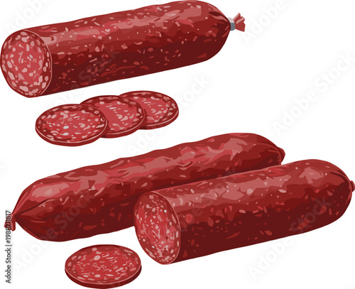 "Vector illustration of salami sausages showing whole pieces and sliced cured meat with fat specks""Vector illustration of salami sausages showing whole pieces and sliced cured meat with fat specks"