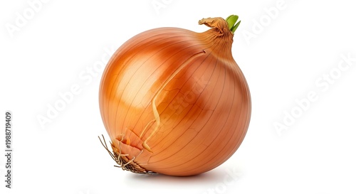 Fresh whole yellow onion isolated on white background