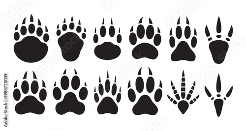Animal paw prints collection set vector illustration featuring various predator and bird track icons