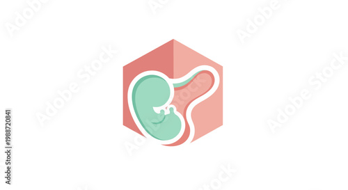 Abstract Fetal Development Artwork Inside a Geometric Hexagon Logo on White Background