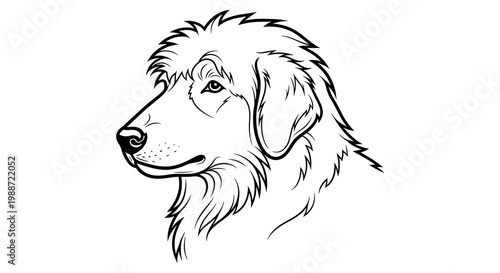 Black and white line drawing of a fluffy dog's head in profile, looking left