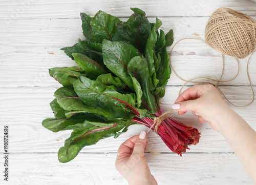Fresh organic chard on a wooden background, Sweet beet leafs (mangold) . Women's hands make a bunch of greenery. Selective focus