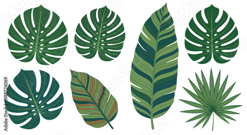 Collection of stylized tropical leaves in shades of green and brown.