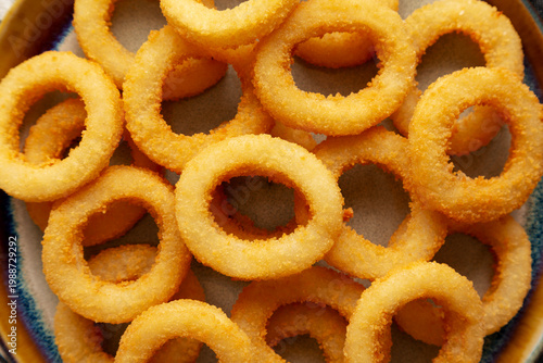 Homemade Crispy Fried Onion Rings on a Plate, top view.