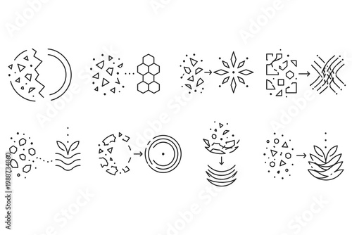 Transformative processes of geometric shapes into organic and structured forms