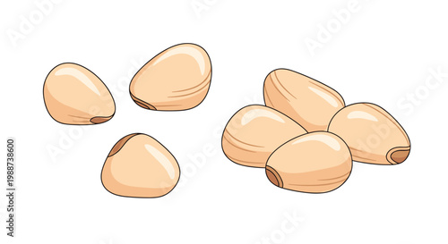 Collection of nutritious pine nuts is showcased in scattered and clustered arrangements, highlighting these small, versatile, and buttery culinary ingredients.