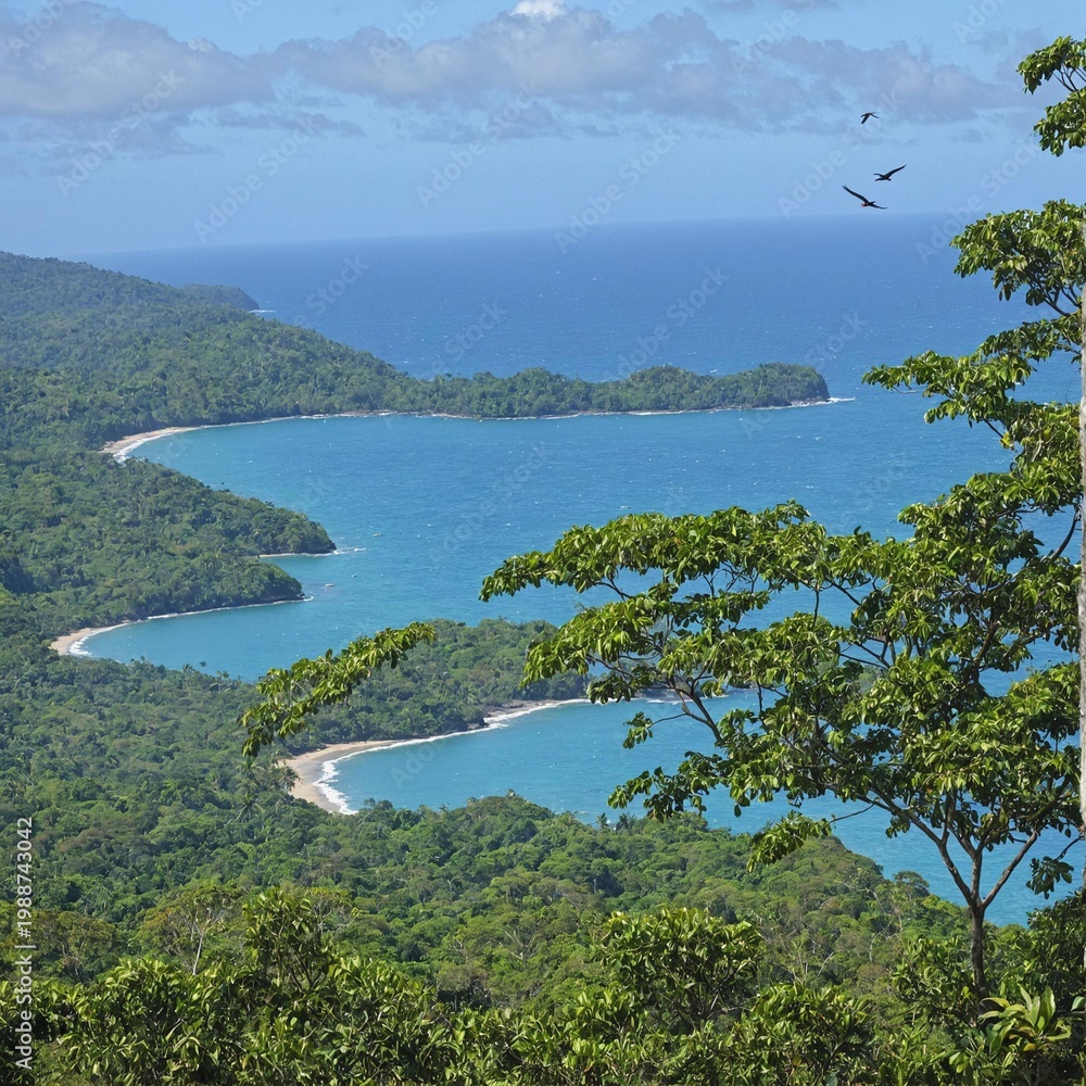 Obraz premium view of the sea, forest and beach