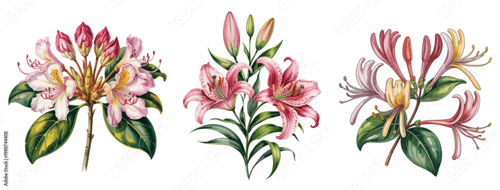 Obraz premium Three delicate floral arrangements bloom in soft pink and white hues. Each cluster showcases unique petal shapes and leaf structures. Green leaves frame the blossoms, adding natural contrast