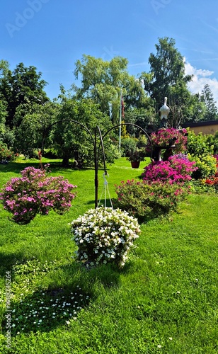 Beautiful multi-colored flowers in flowerbeds and along alleys in city park during summer season