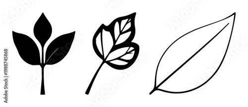 Corporate social responsibility leaf set with solid black icon on white background featuring leaf, circular, environmental with icons and sustainability