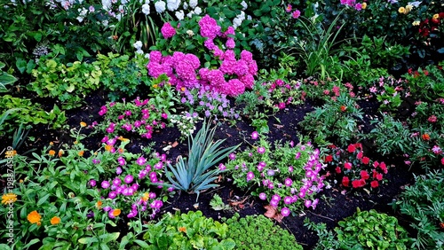 Beautiful multi-colored flowers in flowerbeds and along alleys in city park during summer season