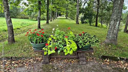 Beautiful multi-colored flowers in flowerbeds and along alleys in city park during summer season