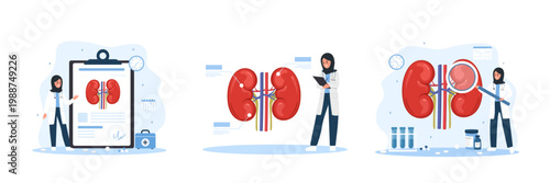 Kidney diseases set. Renal pain or urinary health. Medical vector illustration in flat cartoon style.