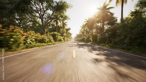 Sunny tropical road with palm trees and motion blur