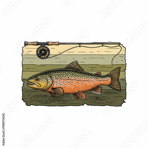 fly fishing illustration featuring a brown trout and rod over a retro sunset background