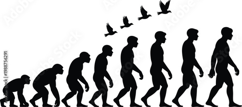 Human evolution, silhouette illustration, evolutionary stages, 