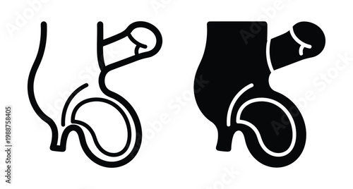 Male reproductive system anatomy icon set, outline and solid versions, male reproductive system in a side profile, urology healthcare and sexual health.